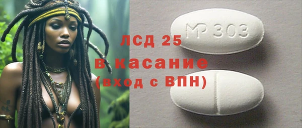 дмт Алзамай