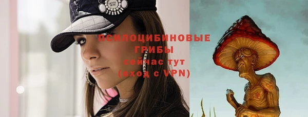 мет Осинники
