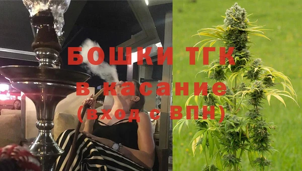 дмт Алзамай