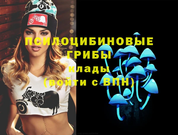 крисы Алексеевка