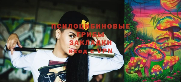 крисы Алексеевка