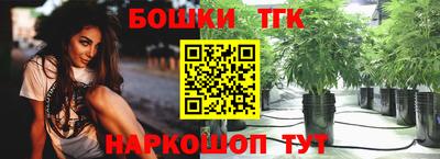 шишки Изобильный