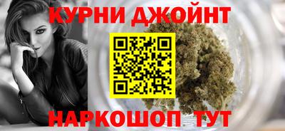 шишки Изобильный