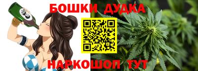 шишки Изобильный