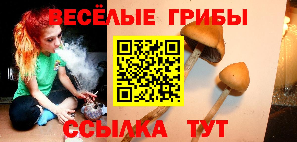 Псилоцибиновые грибы прущие грибы Ленинск-Кузнецкий