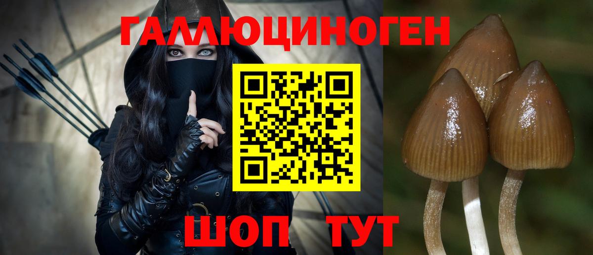 Ленинск-Кузнецкий  закладки  Галлюциногенные грибы прущие грибы  Вход с VPN  Галлюциногенные грибы ЛСД 