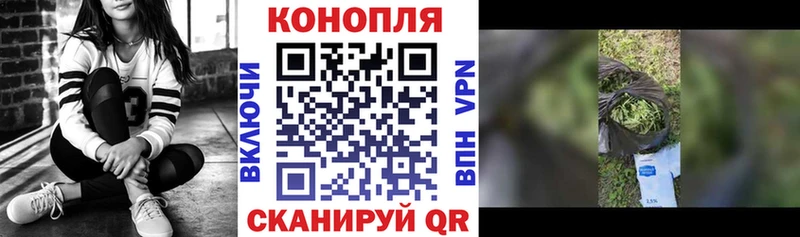 Бошки марихуана OG Kush Ленинск-Кузнецкий